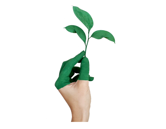 https://www.galeum.sk/media/sustainably.png